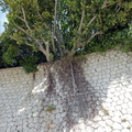 DSC03646